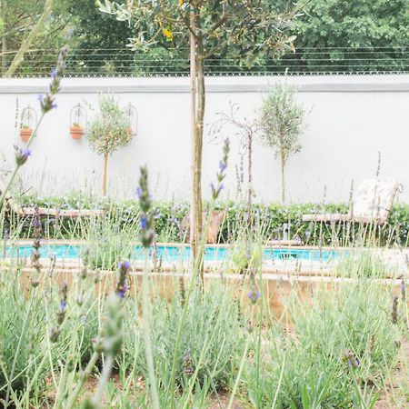 Olive Tree Lodge Paarl Eksteriør bilde