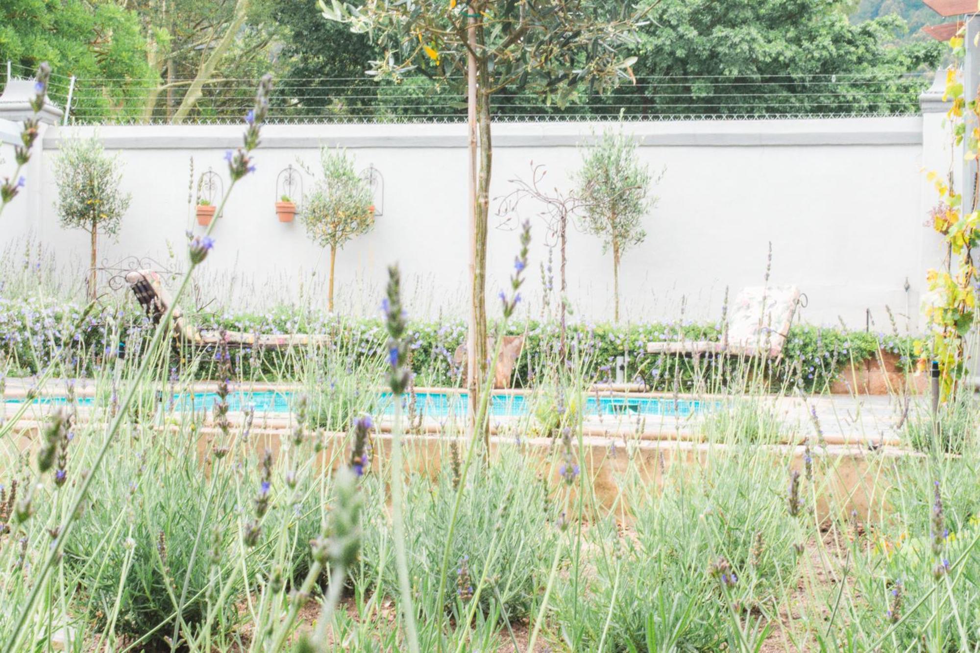 Olive Tree Lodge Paarl Eksteriør bilde