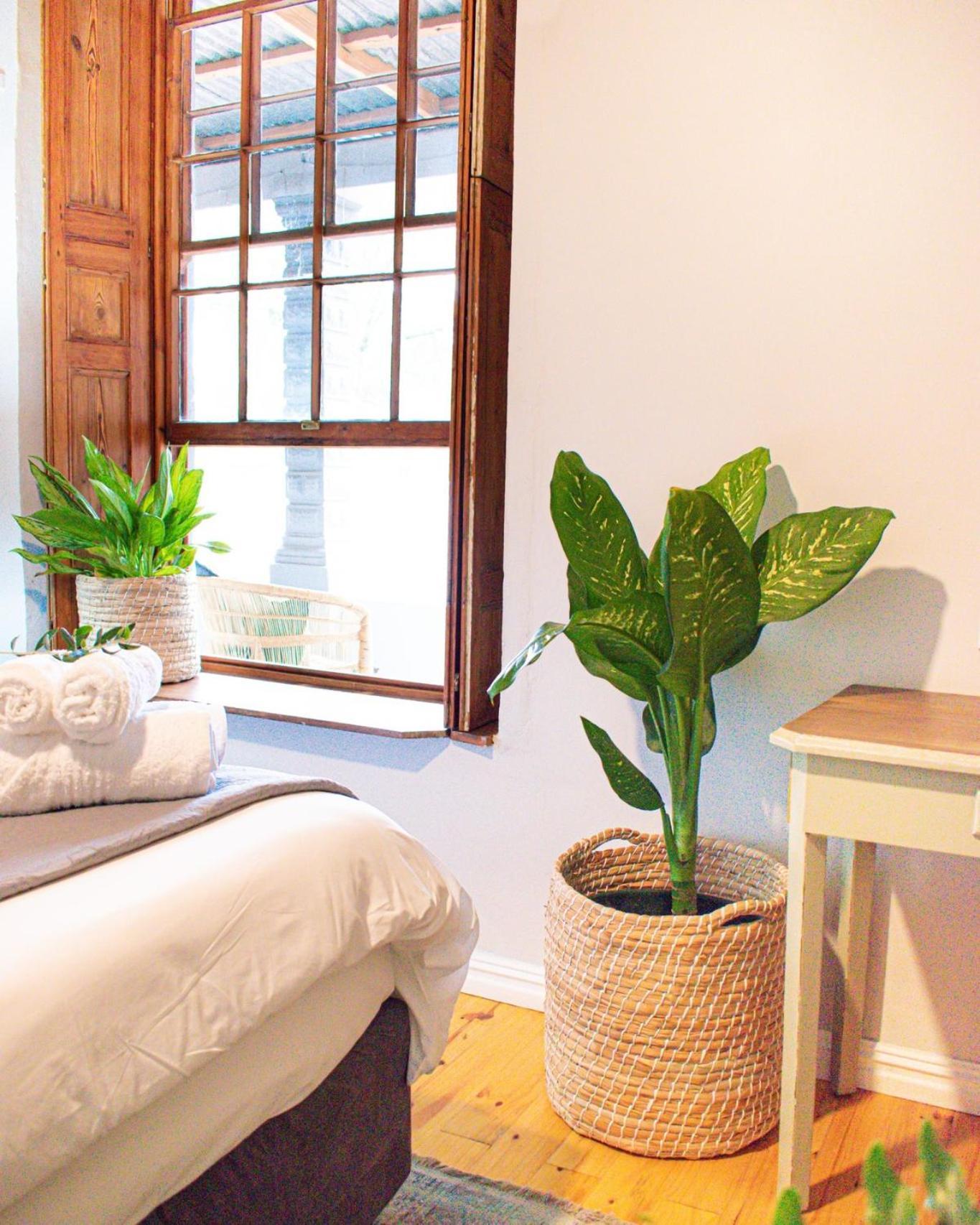 Olive Tree Lodge Paarl Eksteriør bilde